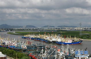 社會(huì)熱點(diǎn)話(huà)題