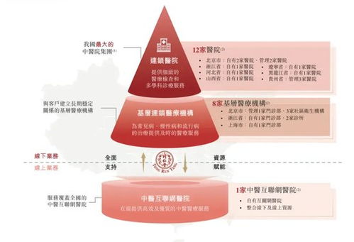 同仁堂醫(yī)養(yǎng)“買買買”背后的高速增長 商譽(yù)高懸與信息咨詢服務(wù)的新挑戰(zhàn)