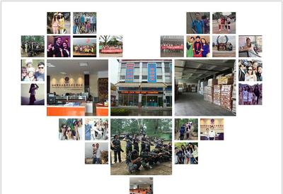 8G黃、8G熒光黃、5#綠、熒光黃8G等塑料熒光顏料 鞍山七彩惠豐標準詳解及市場采購指南